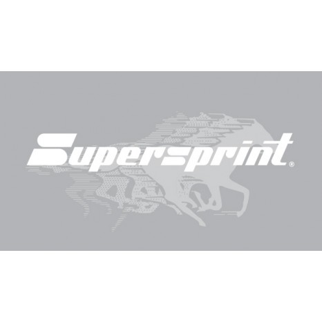 SUPERSPRINT - Silencieux arrière Droite OO70 version imprimable pour JAGUAR XKR Coupè / Cabrio 