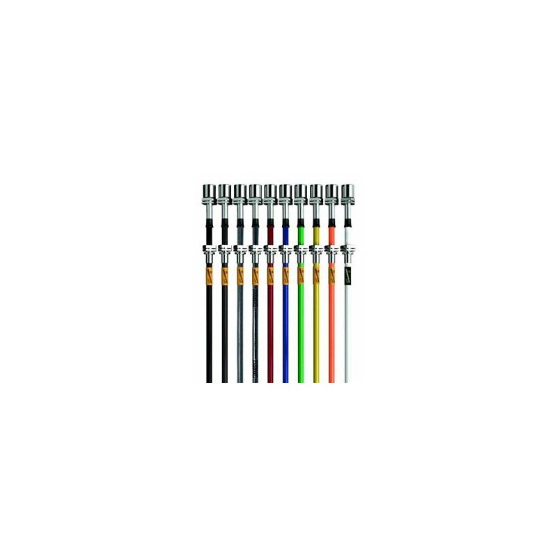 Kit de flexibles de freins GOODRIDGE pour BMW - 7 Series (E38) avec antipatinage inox avec gainage couleur